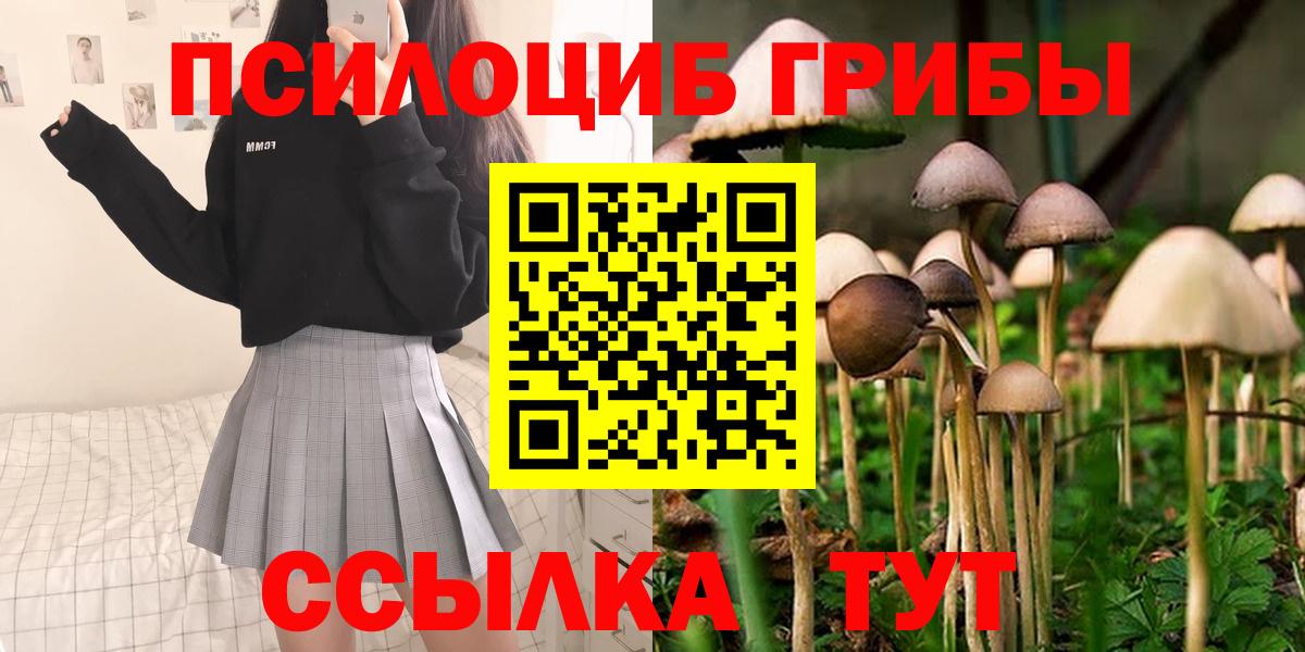 Кашира  Галлюциногенные грибы MAGIC MUSHROOMS  Вход с VPN 