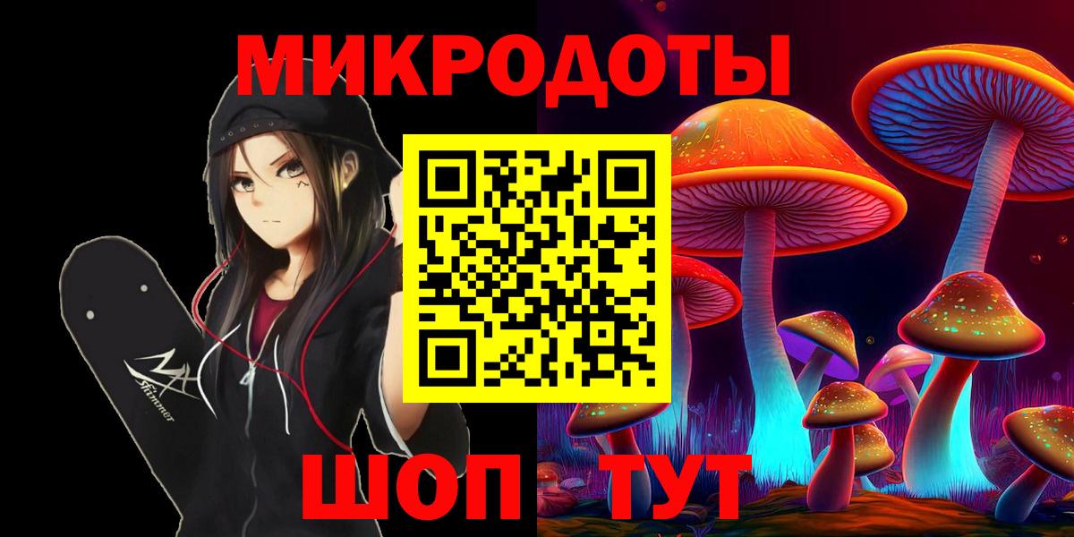 Псилоцибиновые грибы Psilocybe Кашира