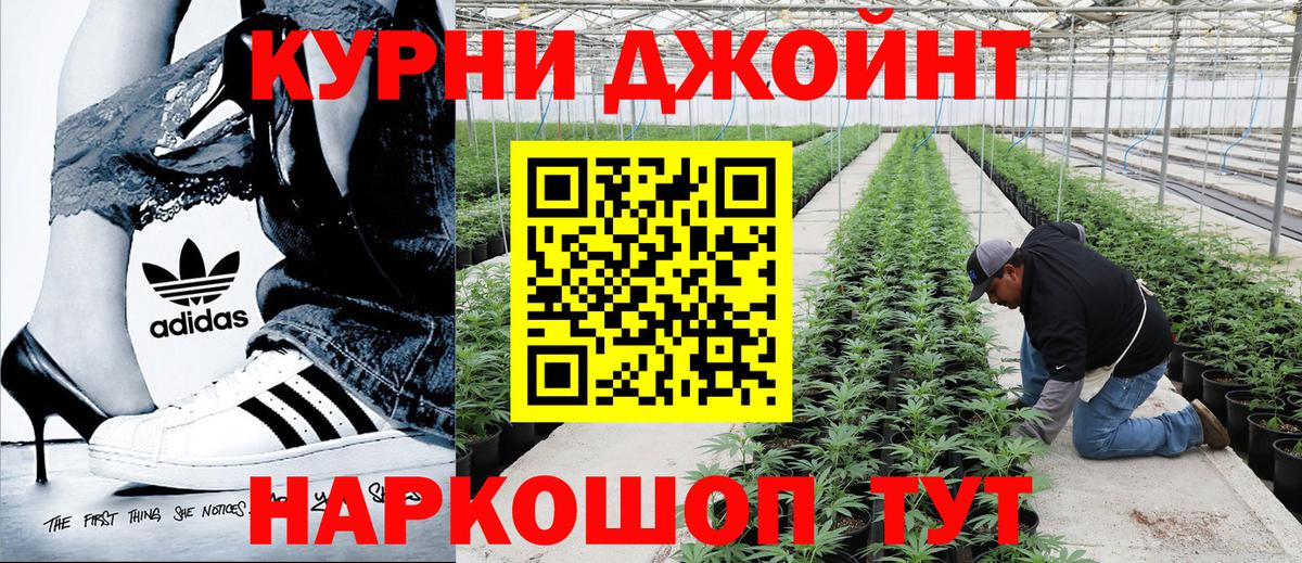 Конопля VHQ  Вход с VPN  Бошки Шишки MAZAR  МАРИХУАНА план  Кашира 